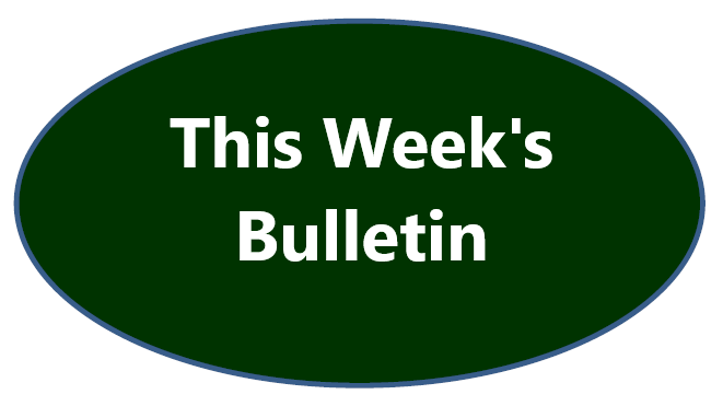 Find this week's bulletin here.